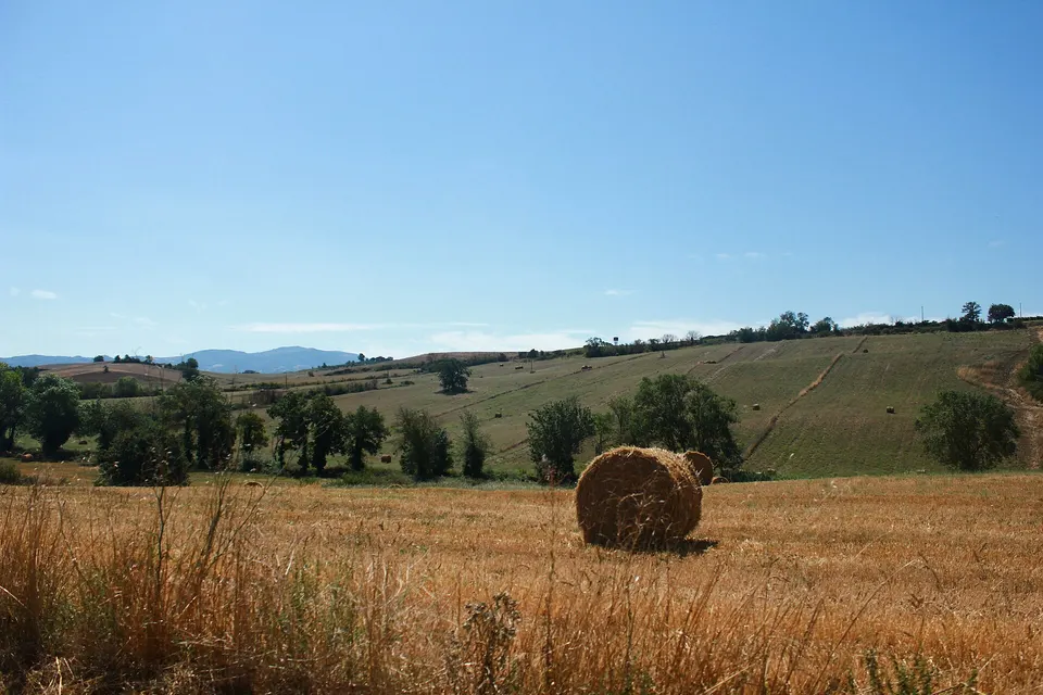 Giovani agricoltori in Toscana: il premio di primo insediamento e chi può chiederlo